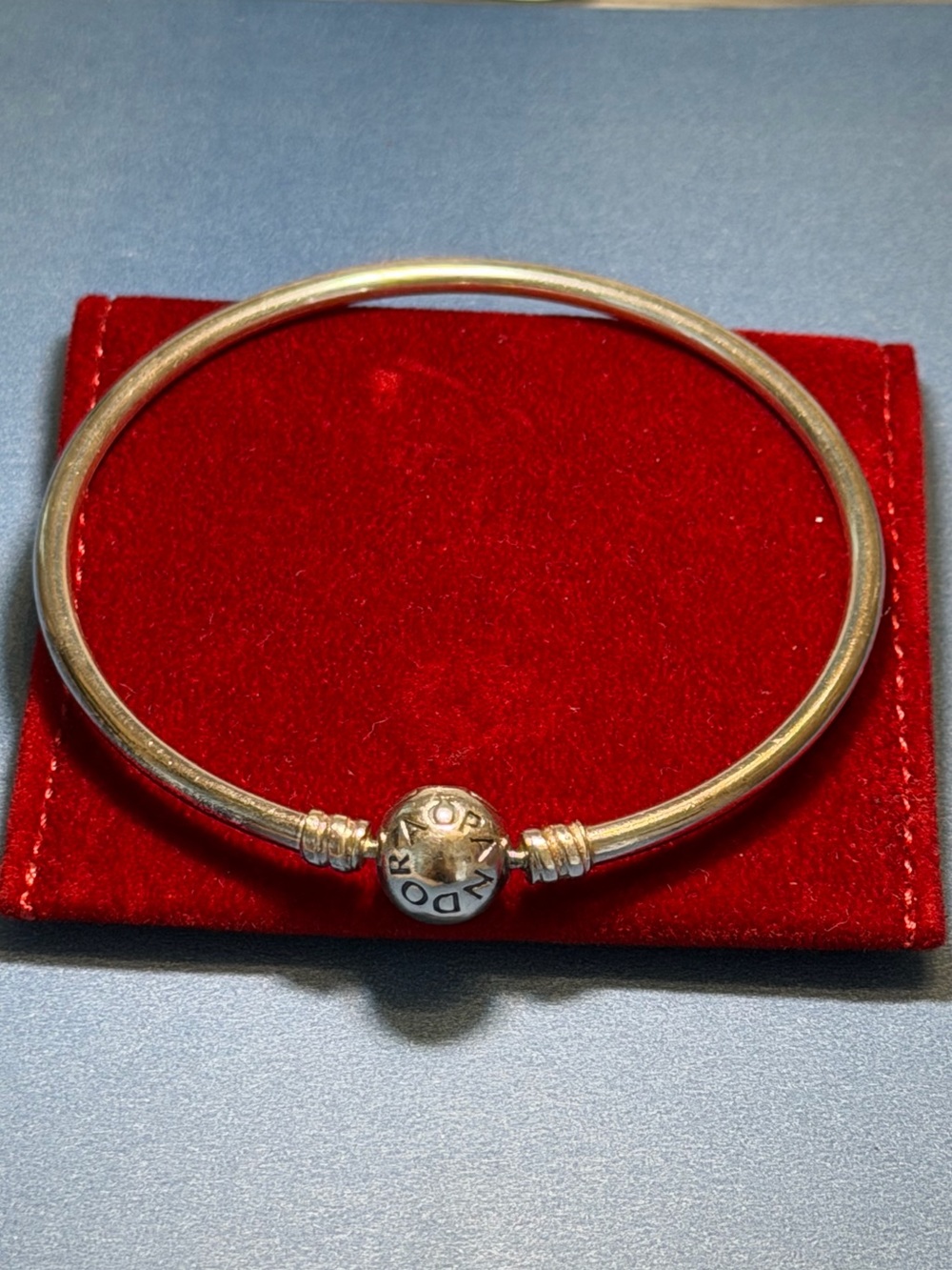 Pandora Bracelet with Signature Logo Clasp